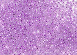 Бисер Чехия круглый 10/0 50г 37128